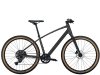 Trek Dual Sport 2 SO L Lithium Grey