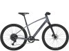 Trek Dual Sport 3 SO L Galactic Grey